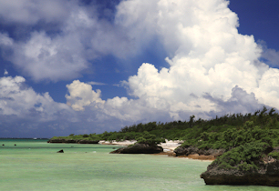 作品集（Photo Gallery）